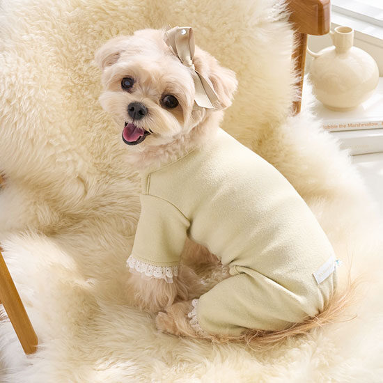 Mellow All-in-One (Olive)