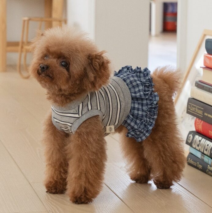 Tommy Stripe Ruffle Ops