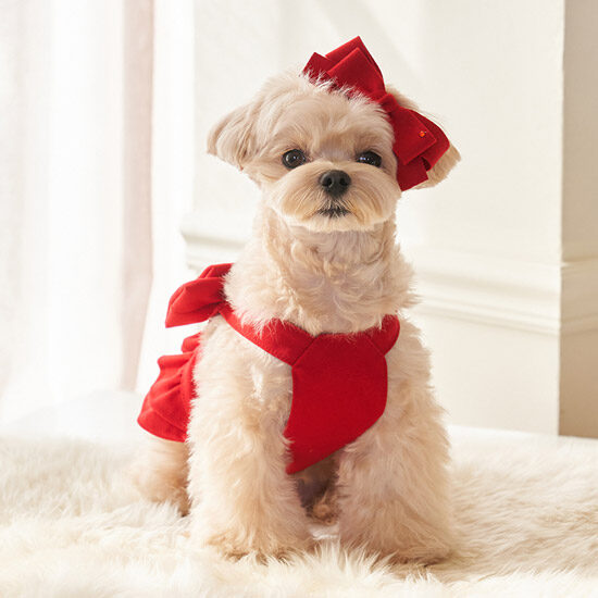Merry Ribbon Ops (Red)