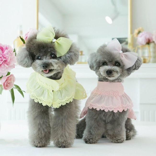 Camellia Harness