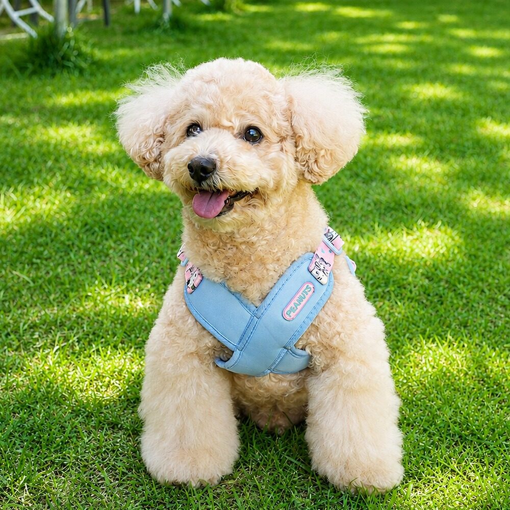 Peanuts Theme X Harness