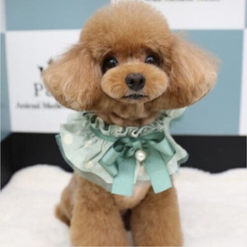 Pop & Puppy Lovely Cape
