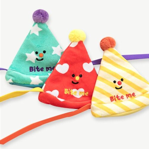 Happy Party Hat Toy
