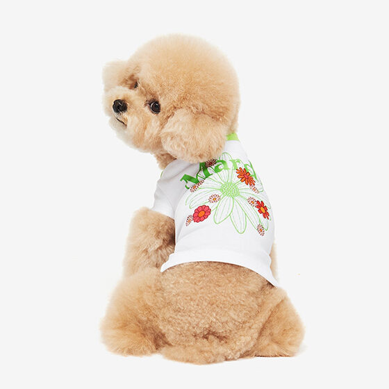 Mardi Mercredi Blossom Cap Sleeve T-Shirt