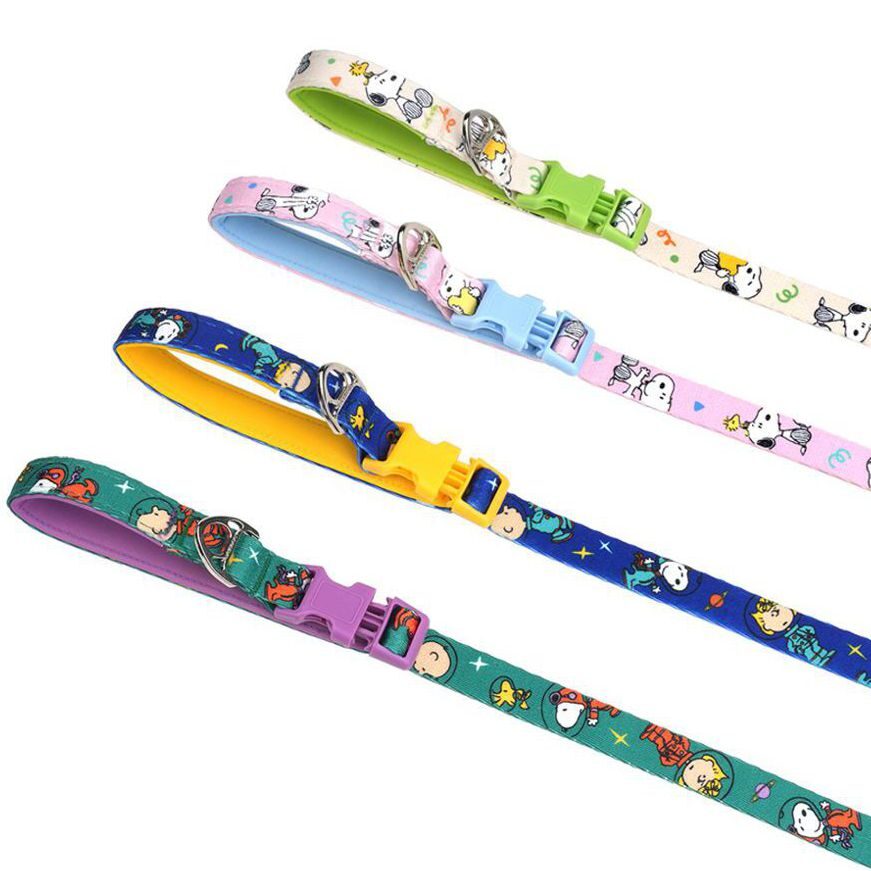 Peanuts Theme Leash