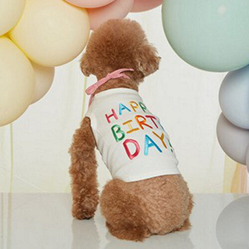 Happy Birthday Crop Tee
