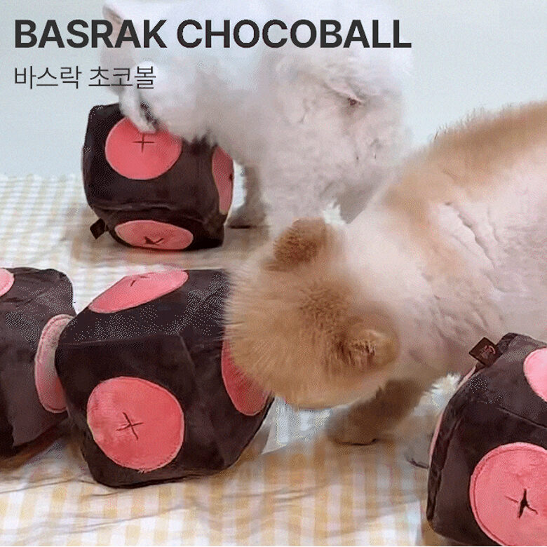 Chocolate Ball 鼻子嗅探球