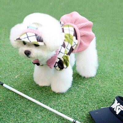 ARGYLE Sun Cap