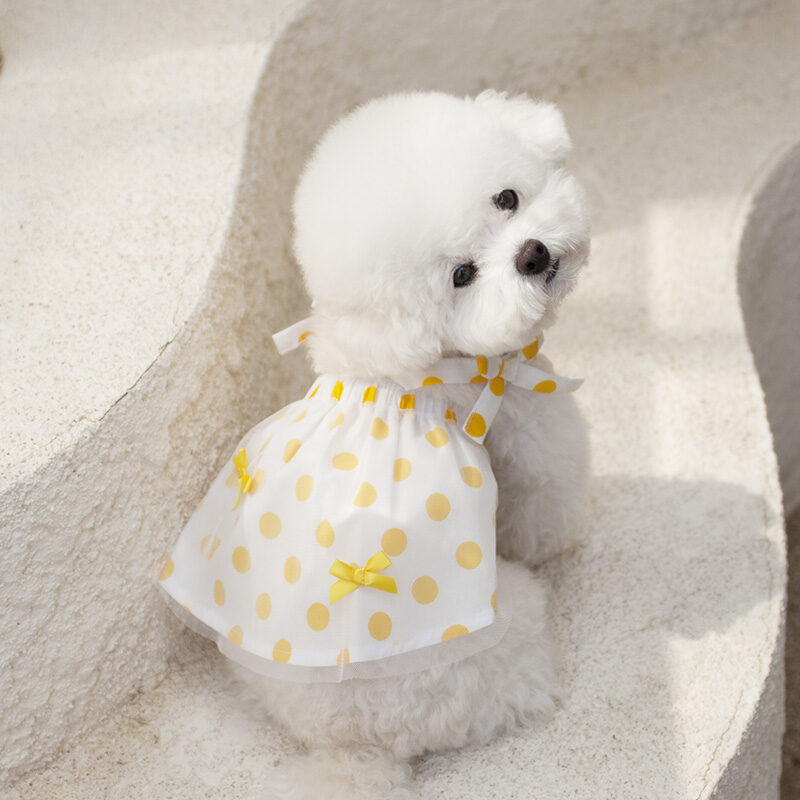 Macaron dress