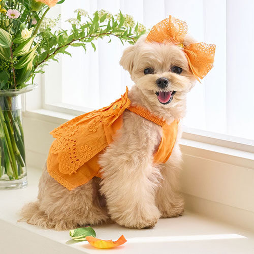 Blooming Crop Ops (Orange)