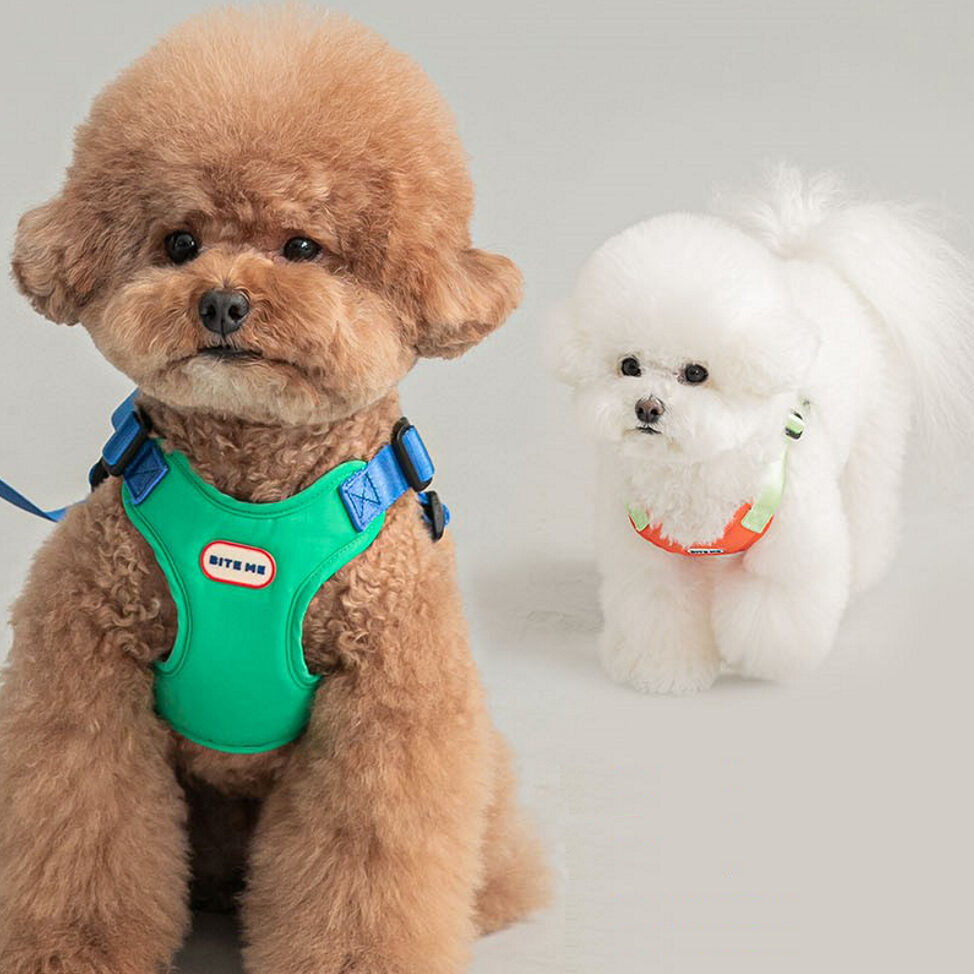 Bite Me Comfort Harness