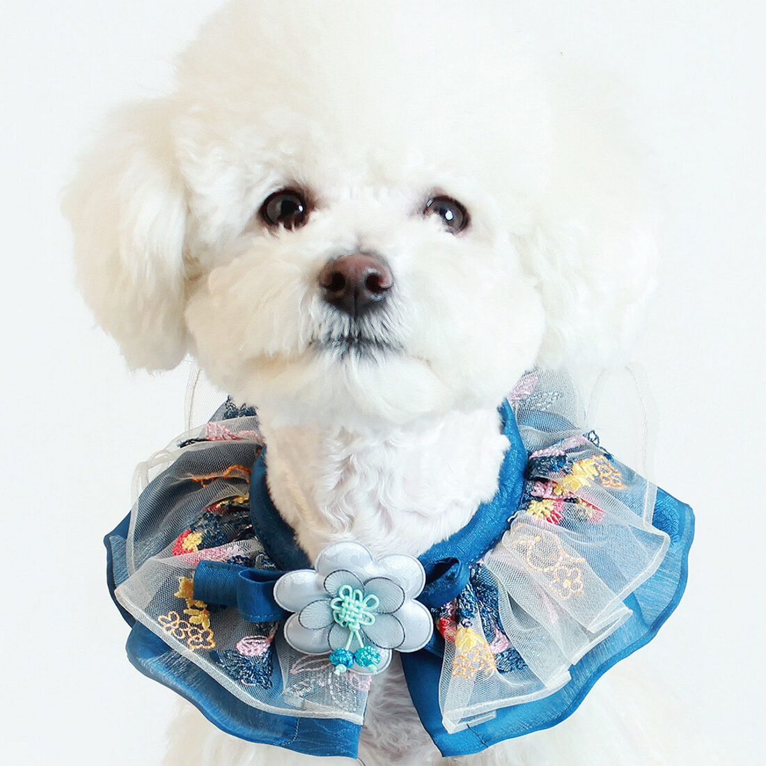 J.O.Y! Hanbok Embroidery Cape - Navy ( 已售罄)
