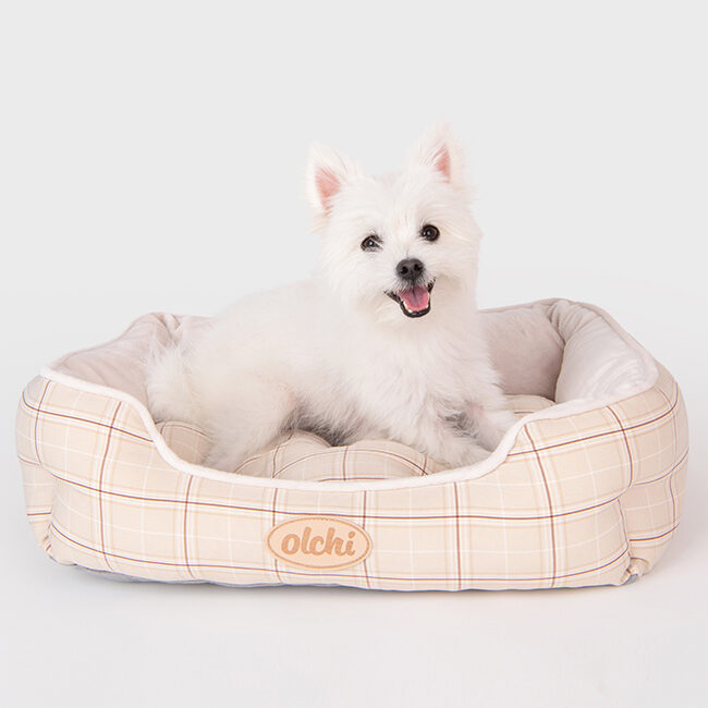 Olchi Mongle Square Cushion