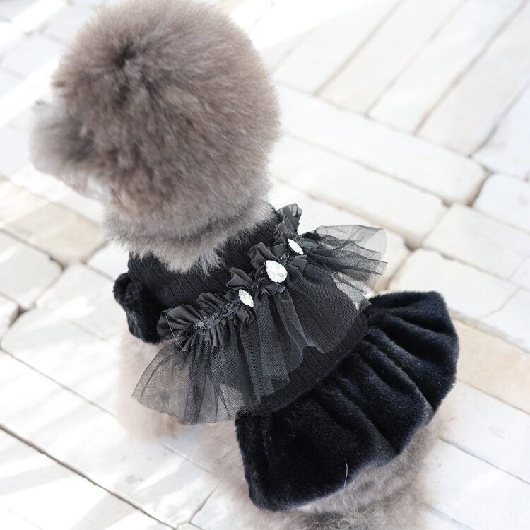 Black Star Dress