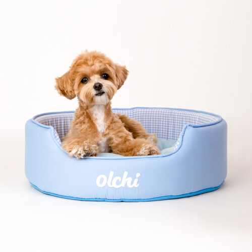Olchi Picnic Circle Bed