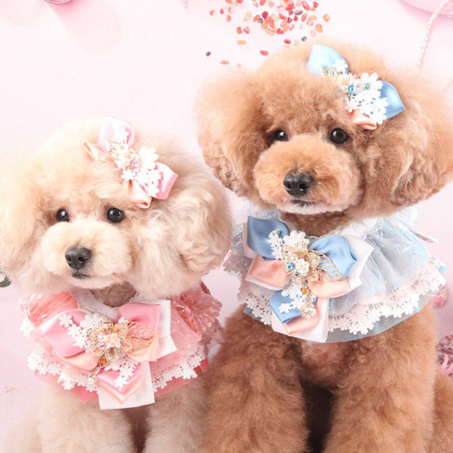 Pop & Puppy Yenabi 韓服披肩