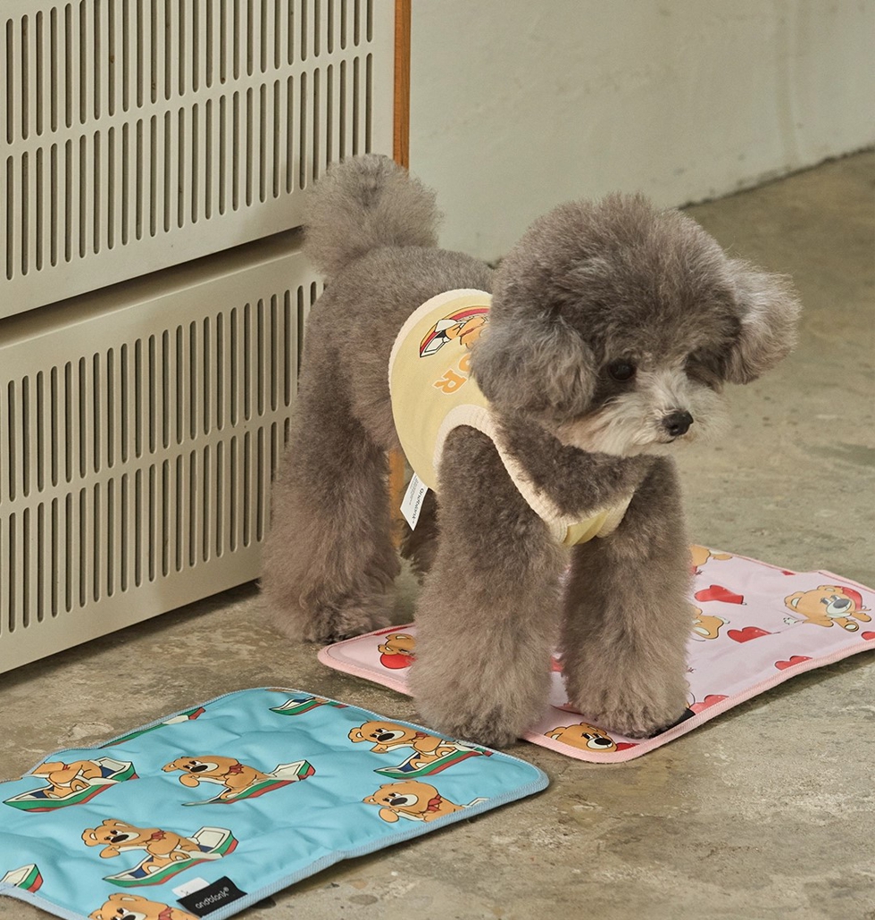 Joy Bear Reversible Cool Mat
