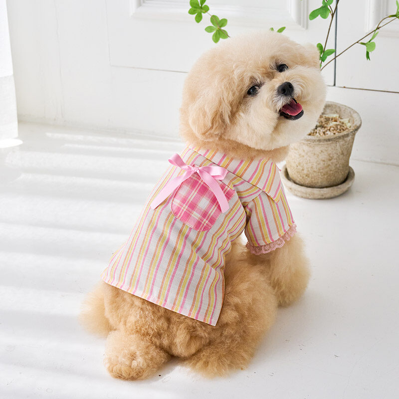 Pink Sherbet Shirts