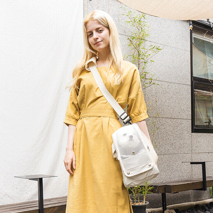 韓國 Dfang Pognny Carrier Bag