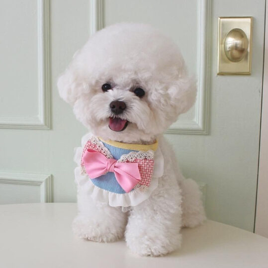 Lovely Ribbon Bib