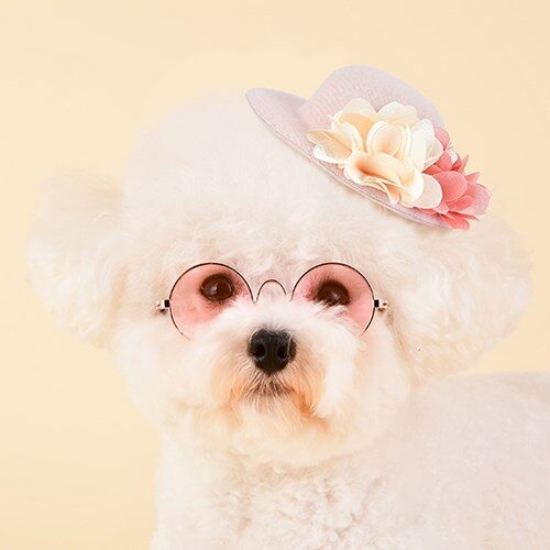 Flower Fedora 髮夾