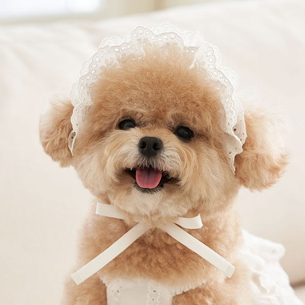 French Bonnet