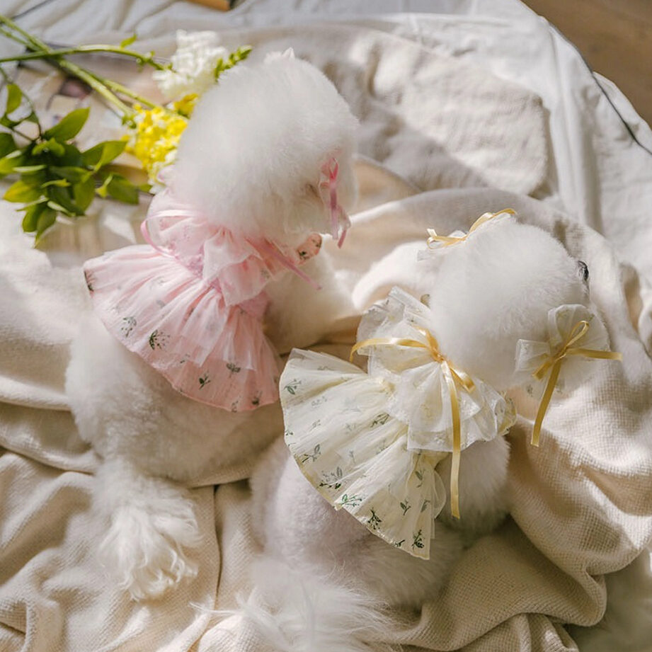 Tinker Bell Dress