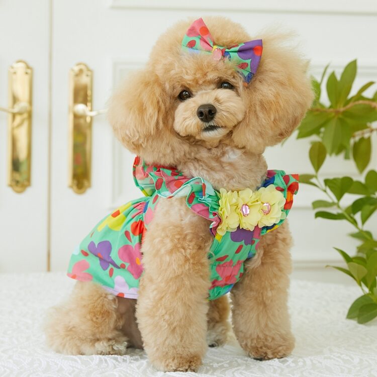 Aloha Dress