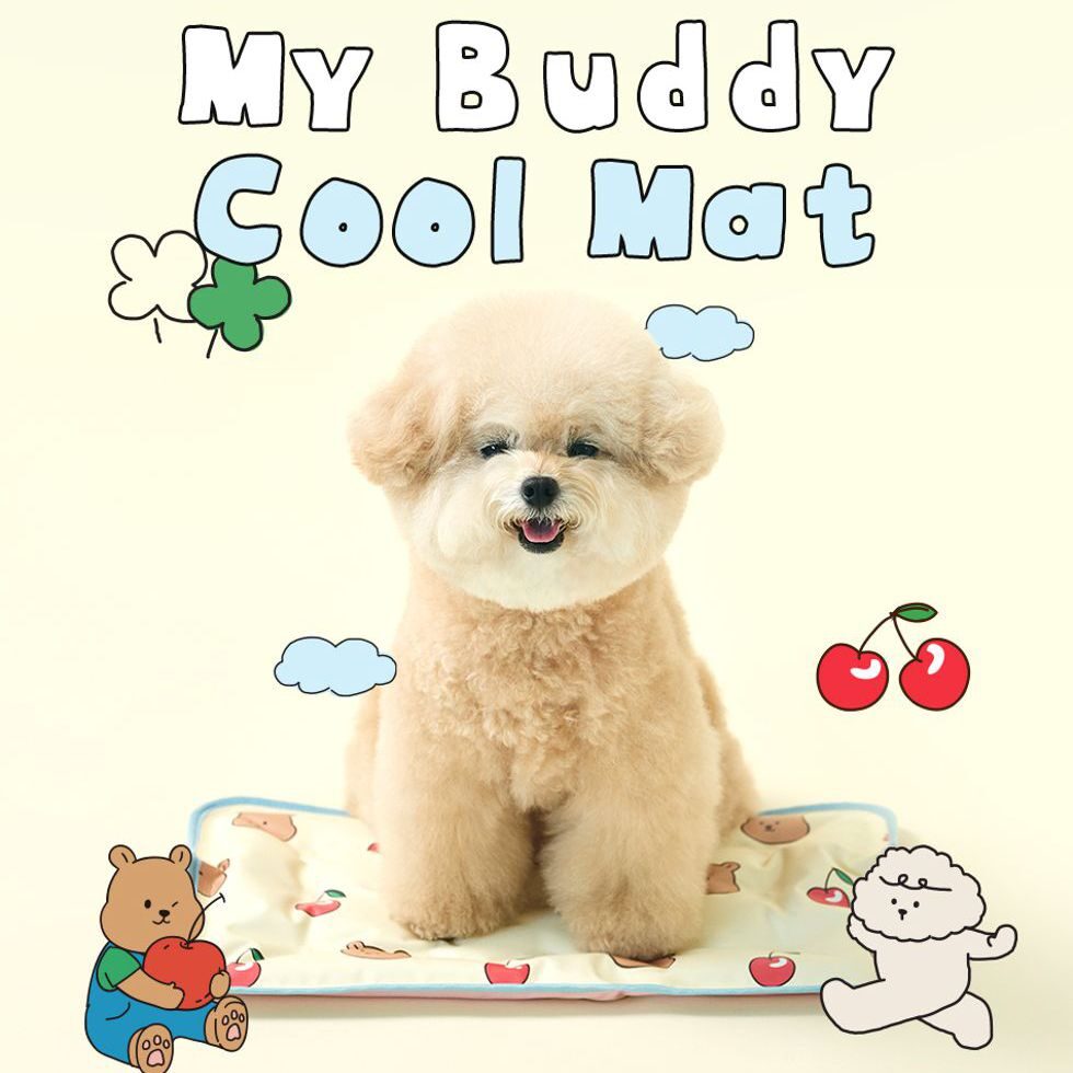 My Buddy Cool Mat