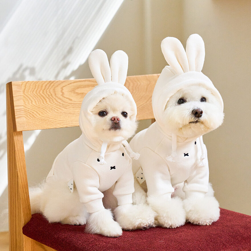 Miffy 連帽衛衣