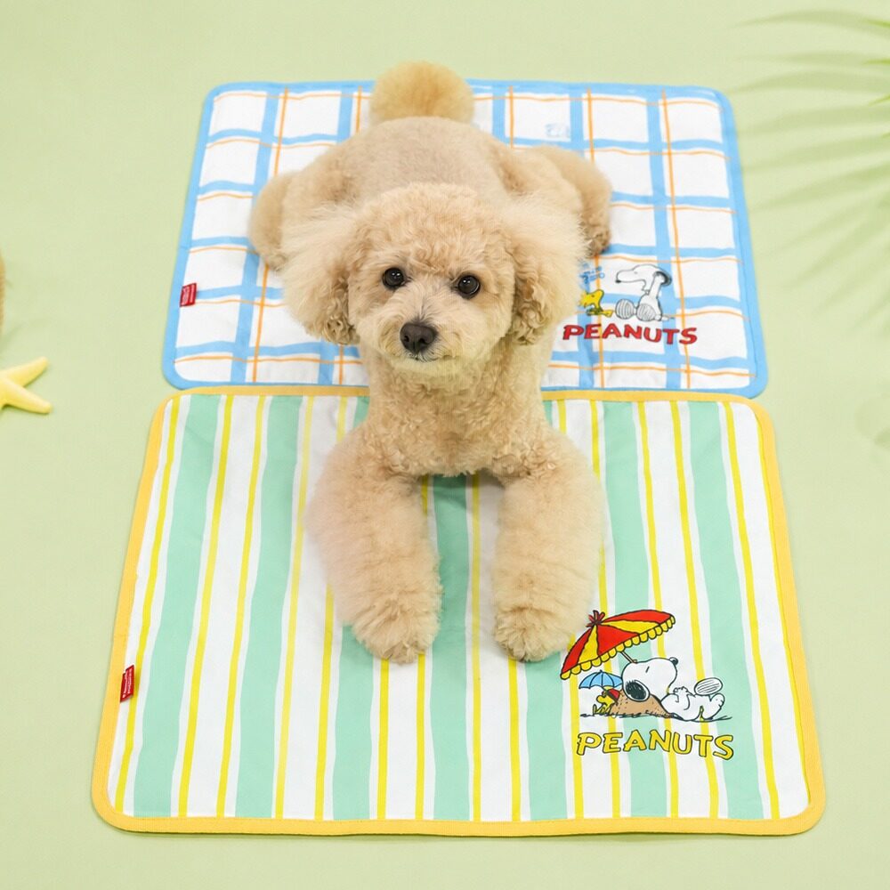 Peanuts Friends Cool Gel Mat