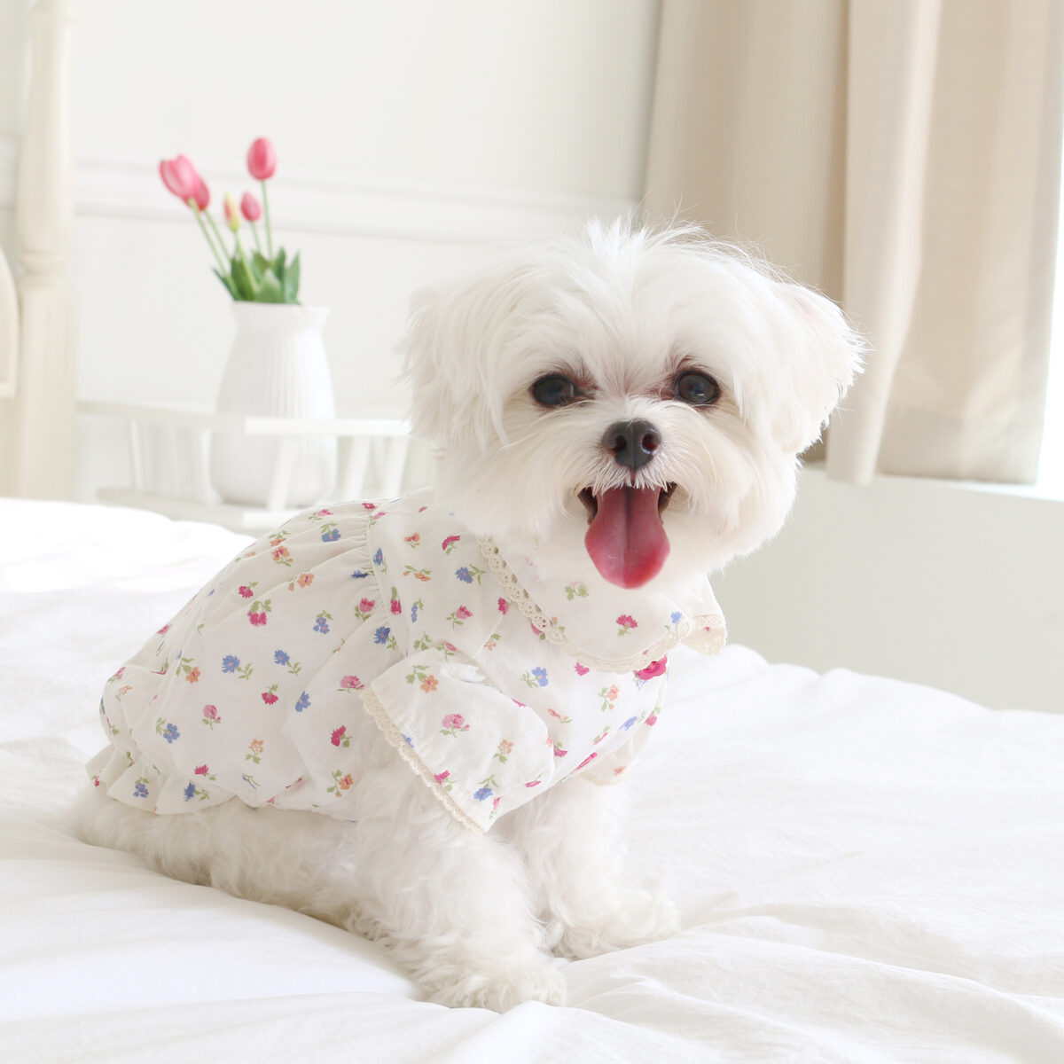 Fruity Flower Blouse