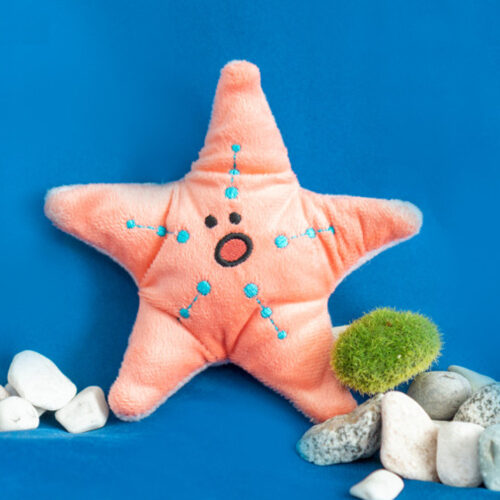 韓國海洋系列玩具 (Starfish)