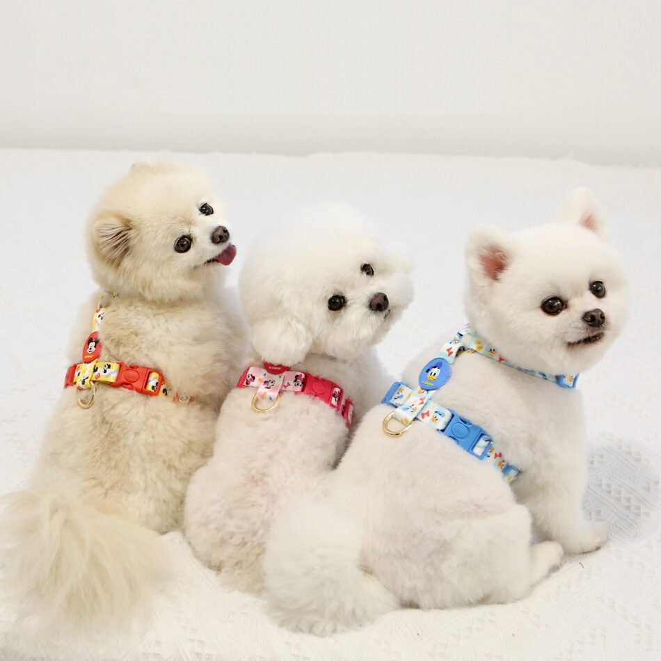 Disney Comfort H-Type Harness