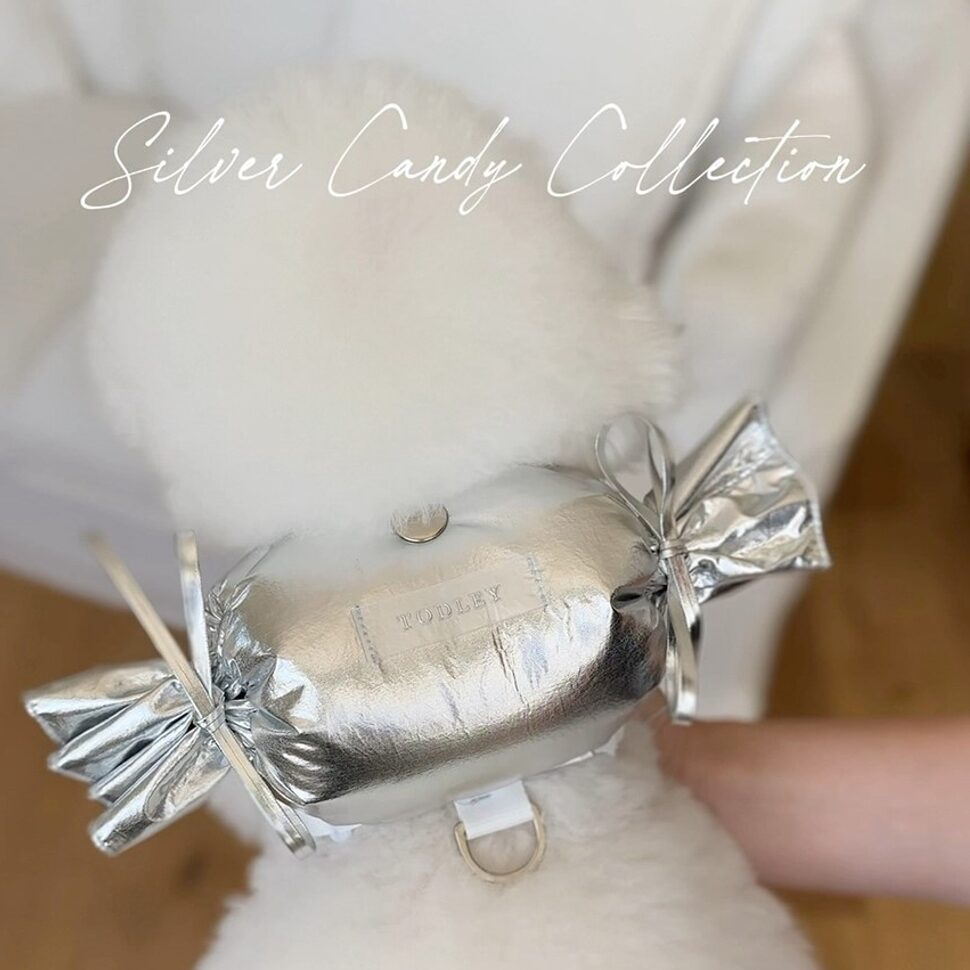 Silver Candy Back Pack