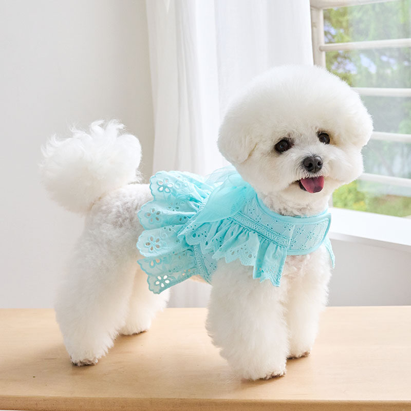 Angel Harness (Tiffany Blue)