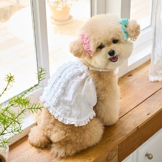 Baby Doll Ops (White)