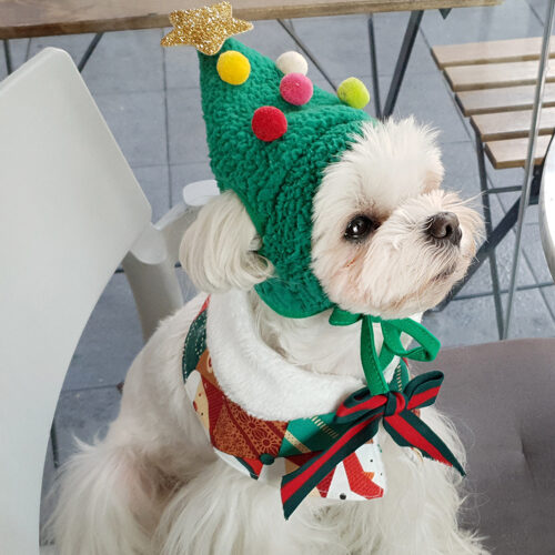 Its dog 我的聖誕樹pom pom帽子