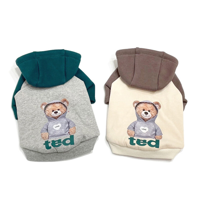 TED配色連帽衛衣