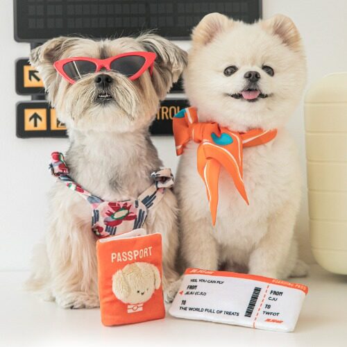 Passport & Ticket Nosework Toy Set