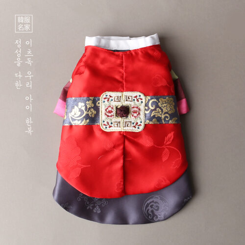薩魯王子韓國新年服