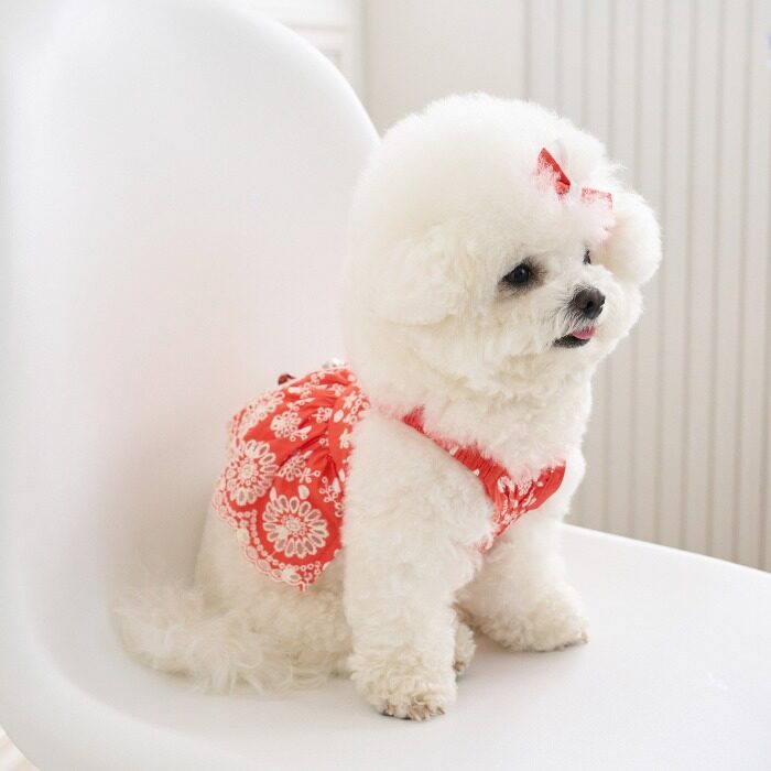 Love Dot Bustier