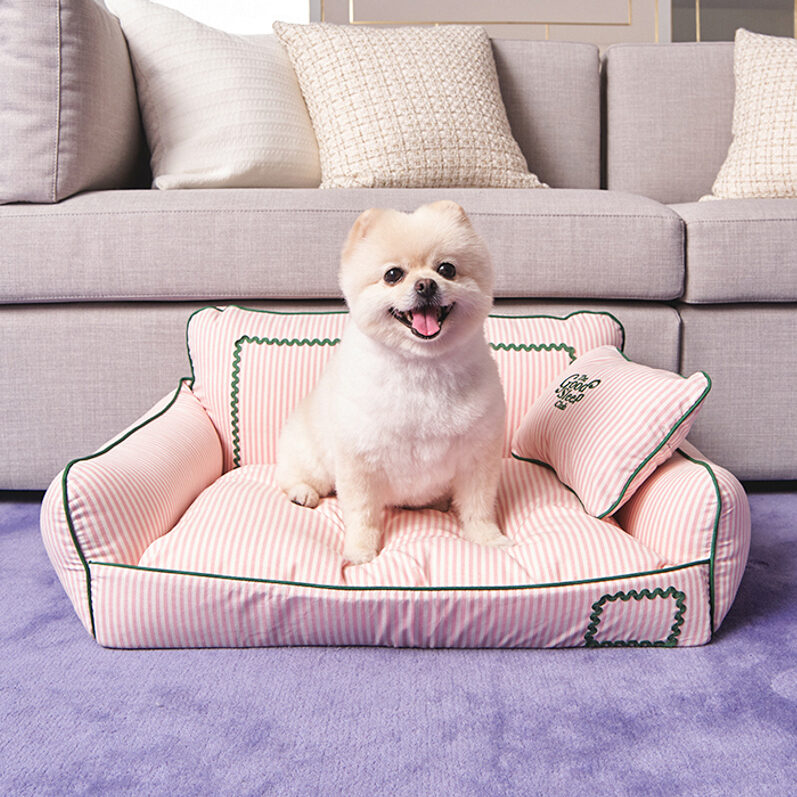 Tart Cushion Season 3 (外套可拆卸)