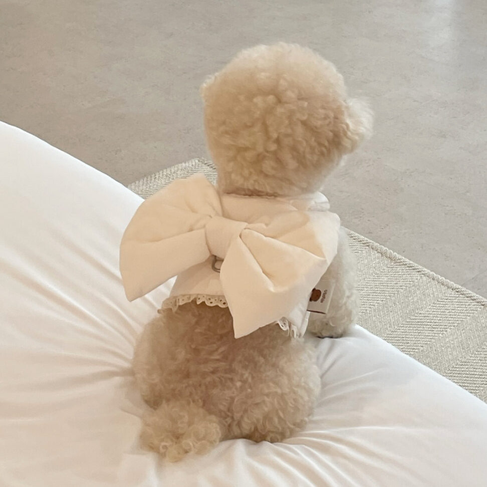 Ribbon Padding Harness